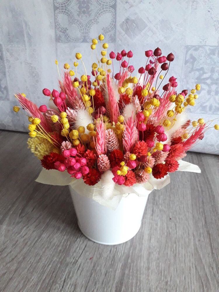 Biết ơn tác giả đã viết sách ạ