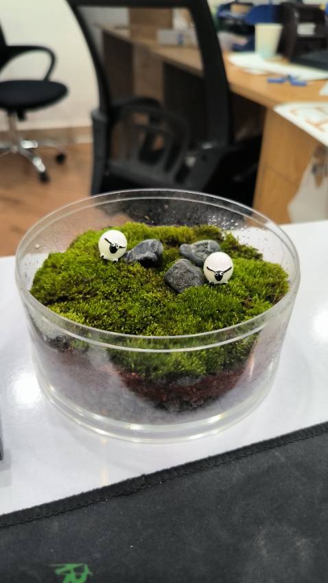 Đóng gói kỹ, giao cực kỳ nhanh, được tặng thêm bọc sách nữa, nội dung ok ổn, nên mua nha mn