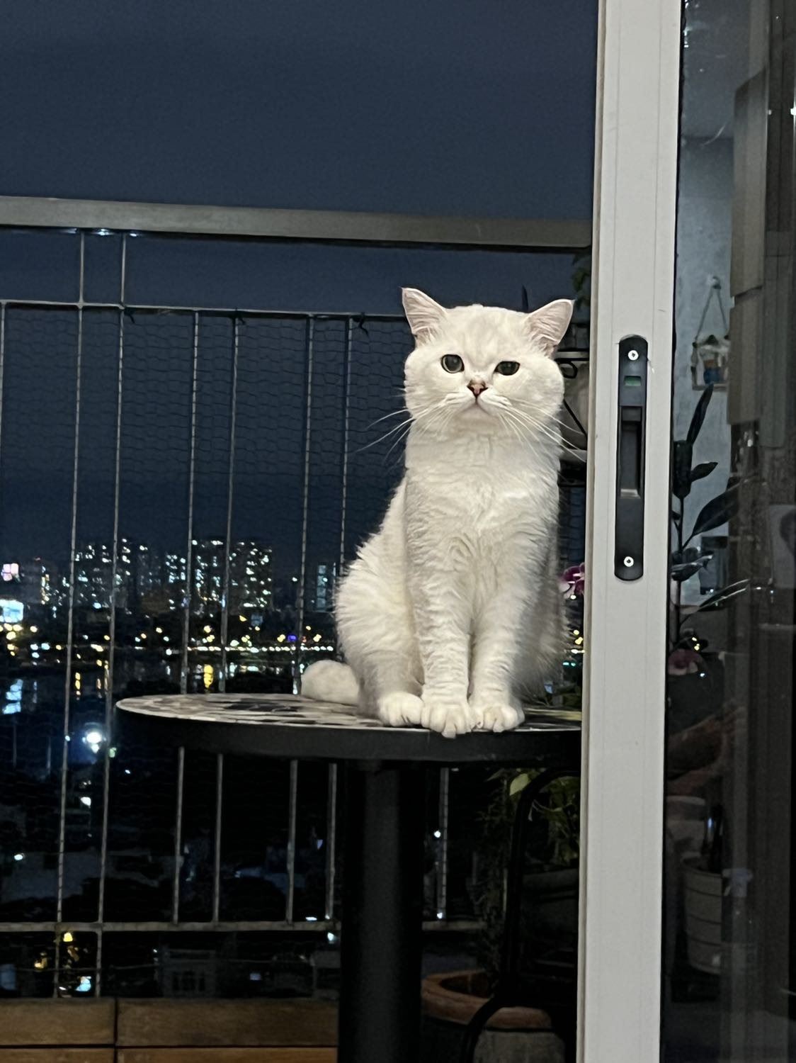 Với khóa thì không thể có nhận xét gì hàng chất lượng theo giá