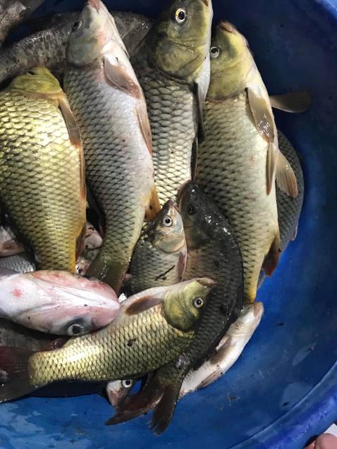 hàng rất đẹp,còn độ bền thì đi câu mới bt đc tạm cho 4 sao trước