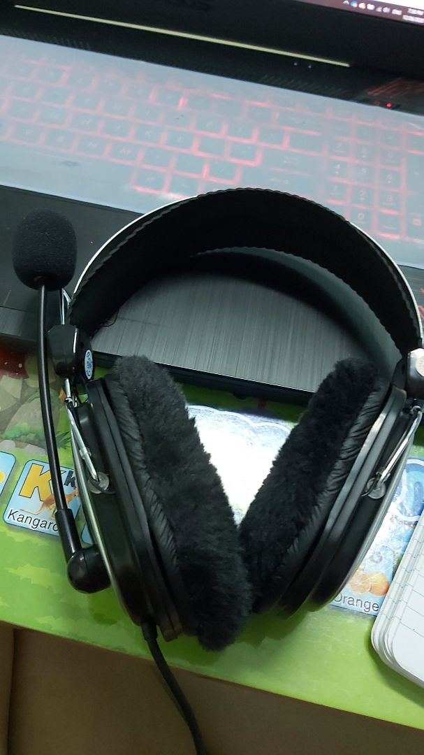 hàng giao khá nhanh, hàng đẹp, xài êm nhưng có 2 đuôi hơi bất tiện vs những máy lap hay đt hiện h (phải mua thêm đồ "dắt" 2 chuôi ra 1 chuôi mới xài đc)