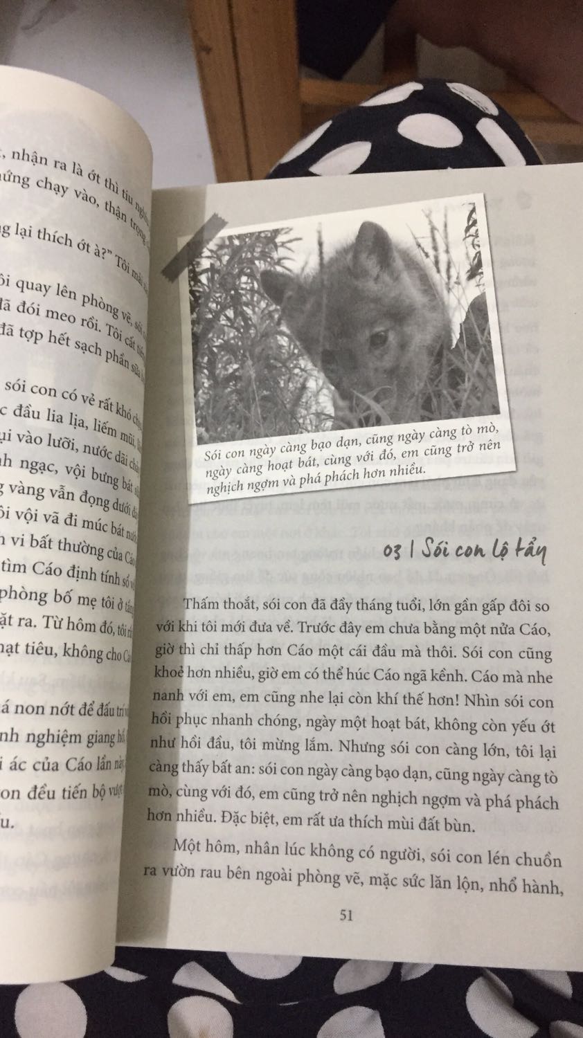 Cuốn sách kể về hành trình đưa 1 chú sói con may mắn sống sót của 1 cô gái trẻ. Mình vô cùng khâm phục bản lĩnh v tình yêu của cô ấy dành cho sói. Sách có lời giới thiệu của tác giả cuốn Totem Sói rất nổi tiếng.