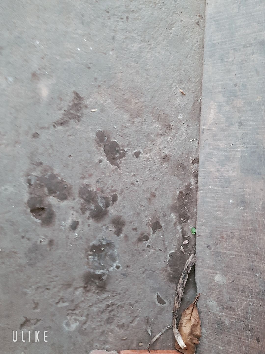 y mẫu không làm thất vọng y mẫu không làm thất vọng