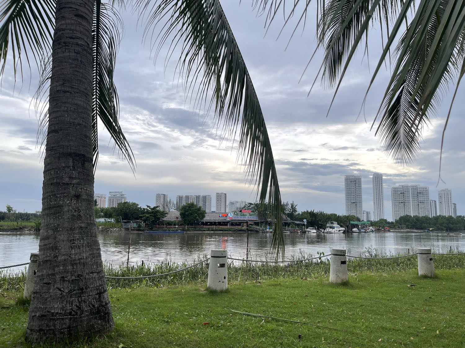 không có gì đặc biệt so với gia