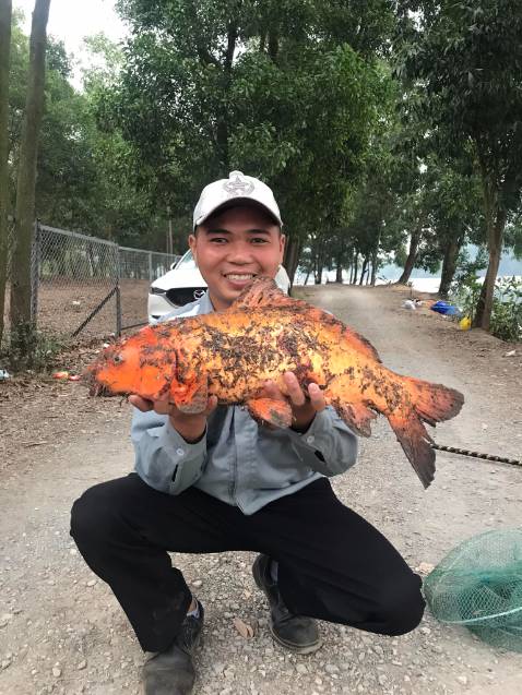 Giao hàng đầy đủ số lượng đã đặt, mẫu mã đẹp dễ sữ dụng độ bền tùy người sủ dụng