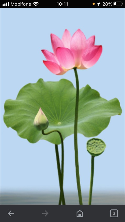 Giao hàng đúng mẫu. Ngon.
- Tốt, tặng bạn 5 sao.