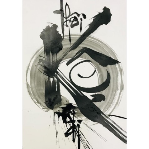ok xài ok