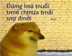Cskh hơi lâu Cskh hơi lâu
