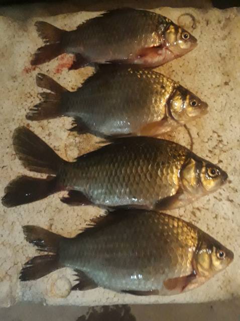 chất lượng sản phẩm cũng ok mỗi tội hơi nặng một xíu mong nhẹ hơn