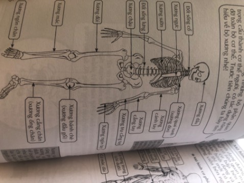 Gói rất kỉ,hàng rất tốt,hướng dẫn chi tiết giao nhanh và tôi rất thích nó,nếu có dịp lần sau tôi sẽ mua thêm❤️❤️