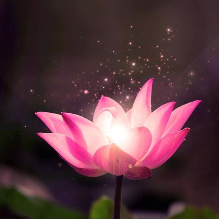 Thoa lên có cảm giác nóng nhẹ, đai xịn vừa in. Hy vọng sẽ có hiệu quả như mong muốn Thoa lên có cảm giác nóng nhẹ, đai xịn vừa in. Hy vọng sẽ có hiệu quả như mong muốn