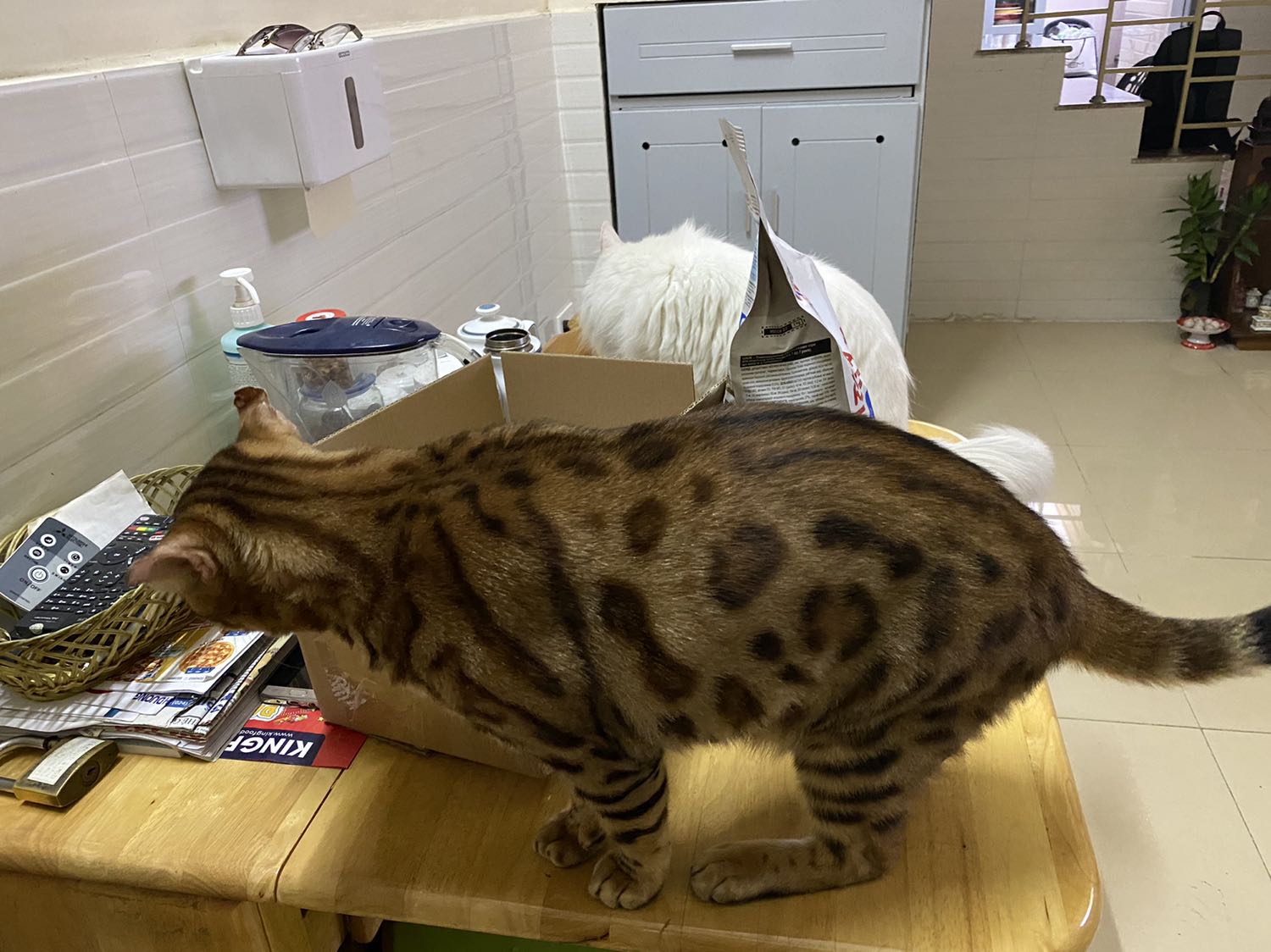 Shop giao hàng nhanh ! ?????? Shop giao hàng nhanh ! ??????