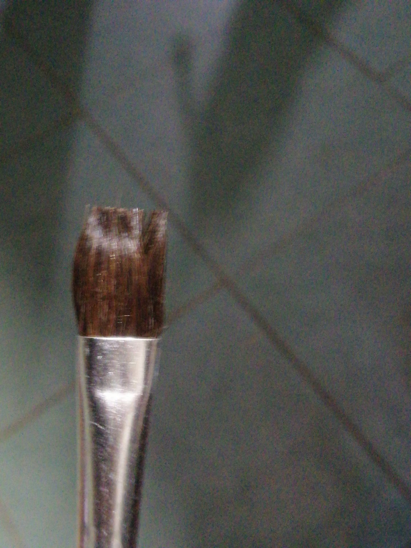 Lúc mới mua cọ vẽ hơi cứng, ngâm nước xong mèm hẳn ra, rất êm, rất thích!