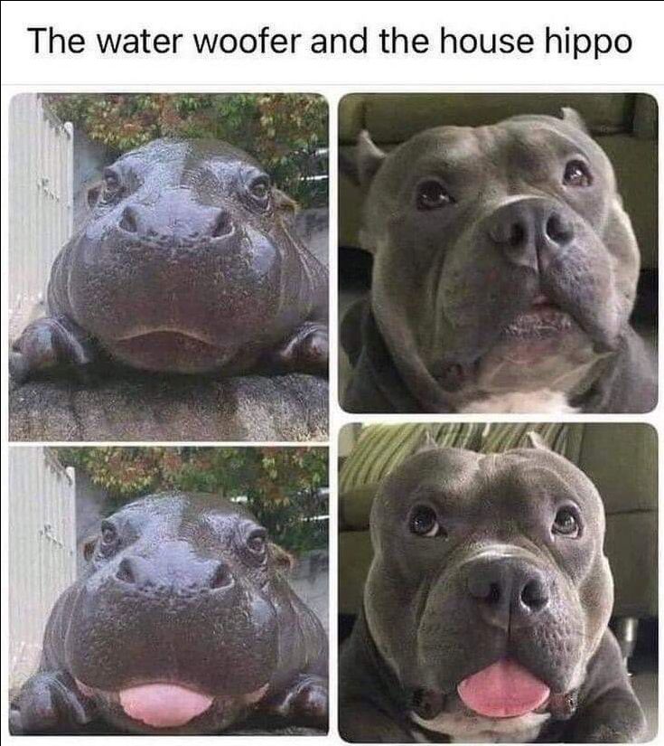 mình đã nhận hàng, sản phẩm tạm ổn nhé..... mình đã nhận hàng, sản phẩm tạm ổn nhé.....