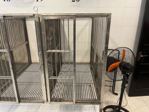 Âm đùng được thôi.đun bếp từ không nhanh lắn.