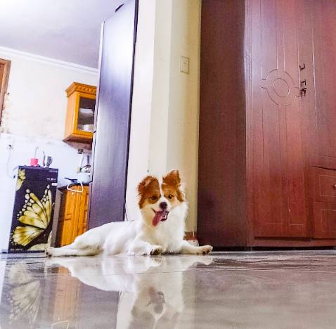 Dễ sử dụng. Giao hơi lâu nhưng ko sao. Thank shop