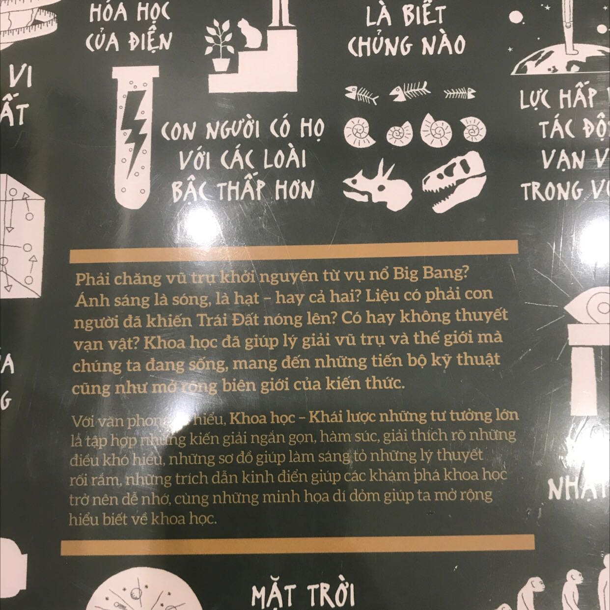 Mua đúng đợt sale chung với quyển Tâm lí học, giá siêu hời. Tiki đóng gói tốt. Sẽ ủng hộ thêm.