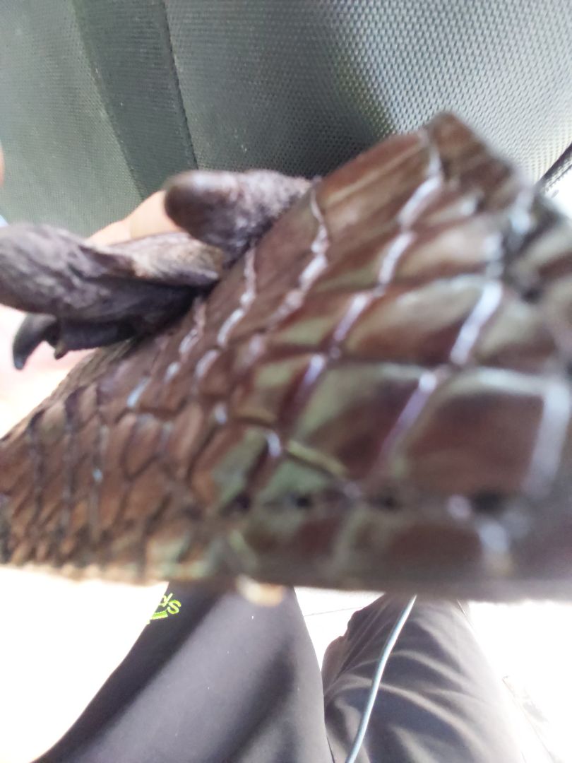 san pham bi rach da mong.khong nhu mong doi