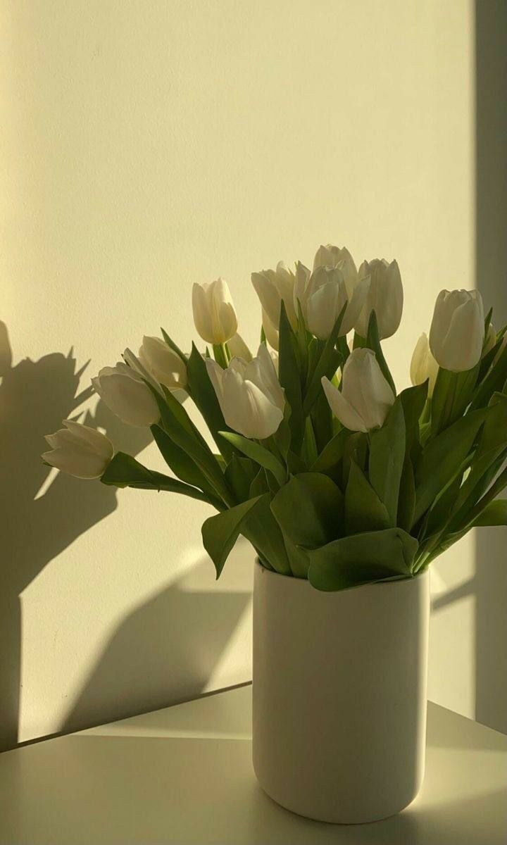 shop đóng sách cẩn thận, không bị méo móp khi vận chuyển, ship thân thiện.