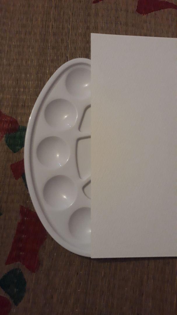 khay bằng nhựa cứng, giao hàng nhanh khay bằng nhựa cứng, giao hàng nhanh