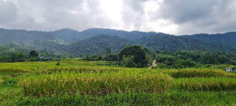 Vở tốt mỗi tội con không thích học chỉ thích đi chơi ngắm cảnh thế mới mệt