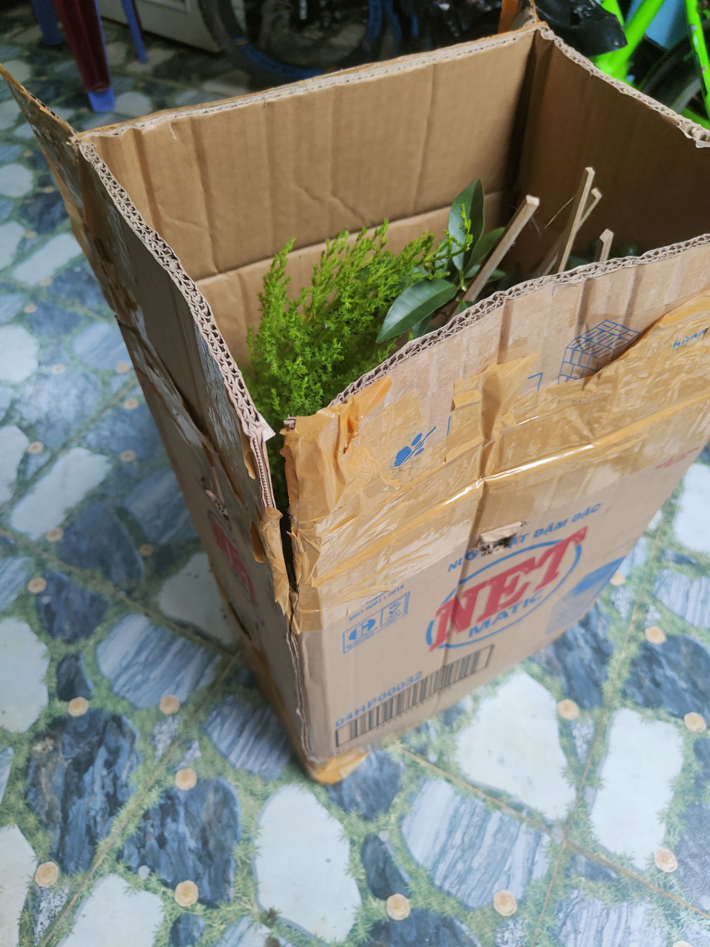 cây đẹp, thơm, mua về ai cũng thích. gói hàng rất ok