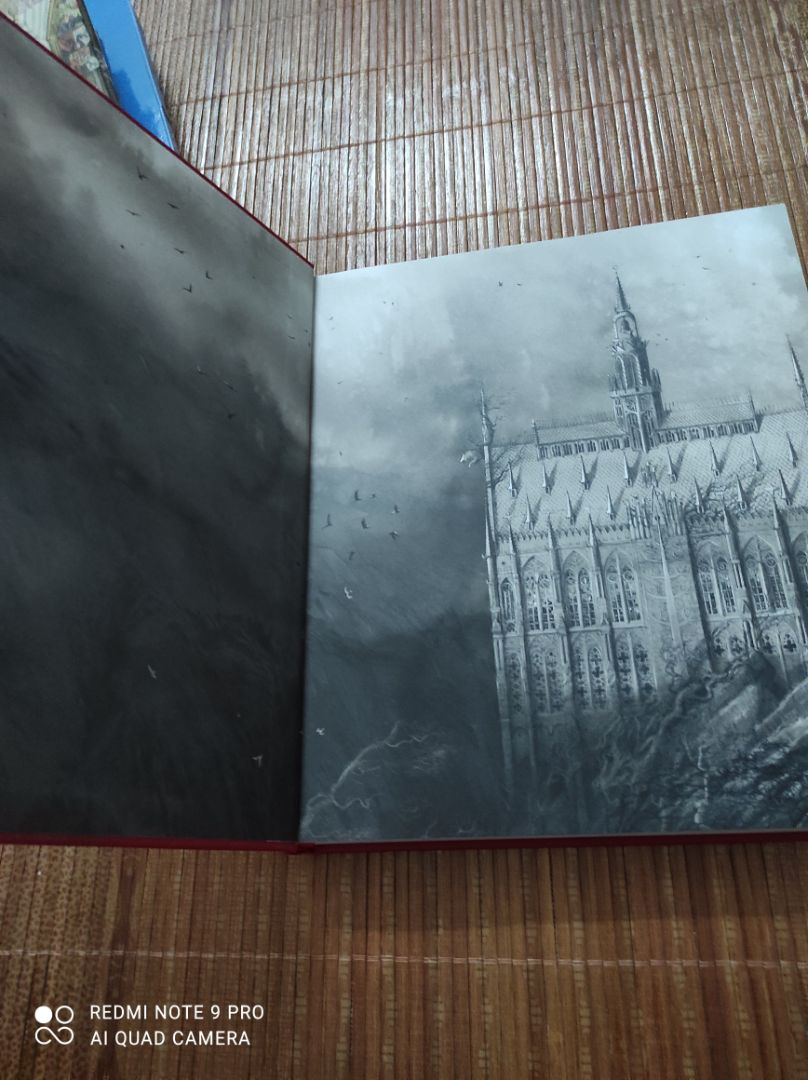 Chất lượng sách tốt, có bọc plastic và xốp chống va đập.