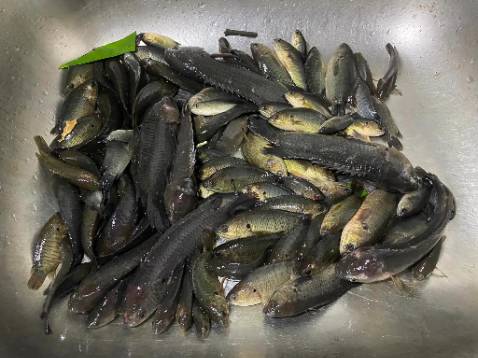 Sản phẩm ok đúng với ihinh ns chung là ổn hfsrtgcrrrfvyu7ffgyug