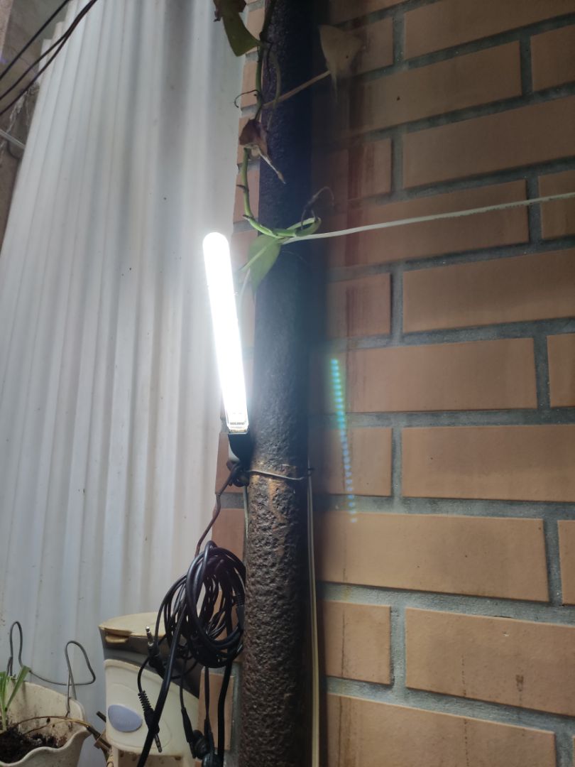 đèn rất sáng và dùng rất tiện lợi vì cắm cổng sạc điện thoại nào cũng được,khi mất điện thì cắm vào sạc dự phòng.