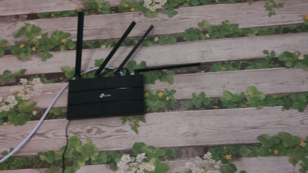 Mạnh, dễ set up, đẹp và dễ sài nữa. Shop giao hàng nhanh mặc dù là CN. Shop phản hồi cũng tích cực nên cho 5*