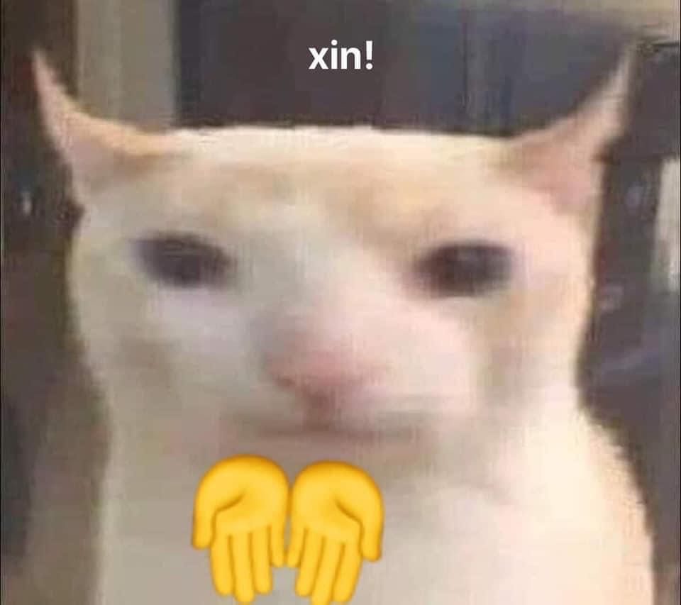 Cskh hơi lâu Cskh hơi lâu