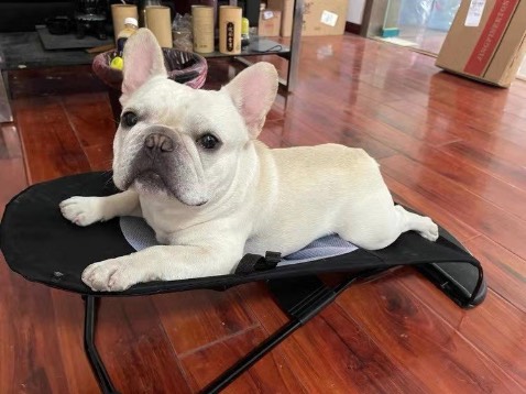 Mua cho 2 boss, khung chắc vải mềm, nhìn mặt 2boss là thấy uy tín r