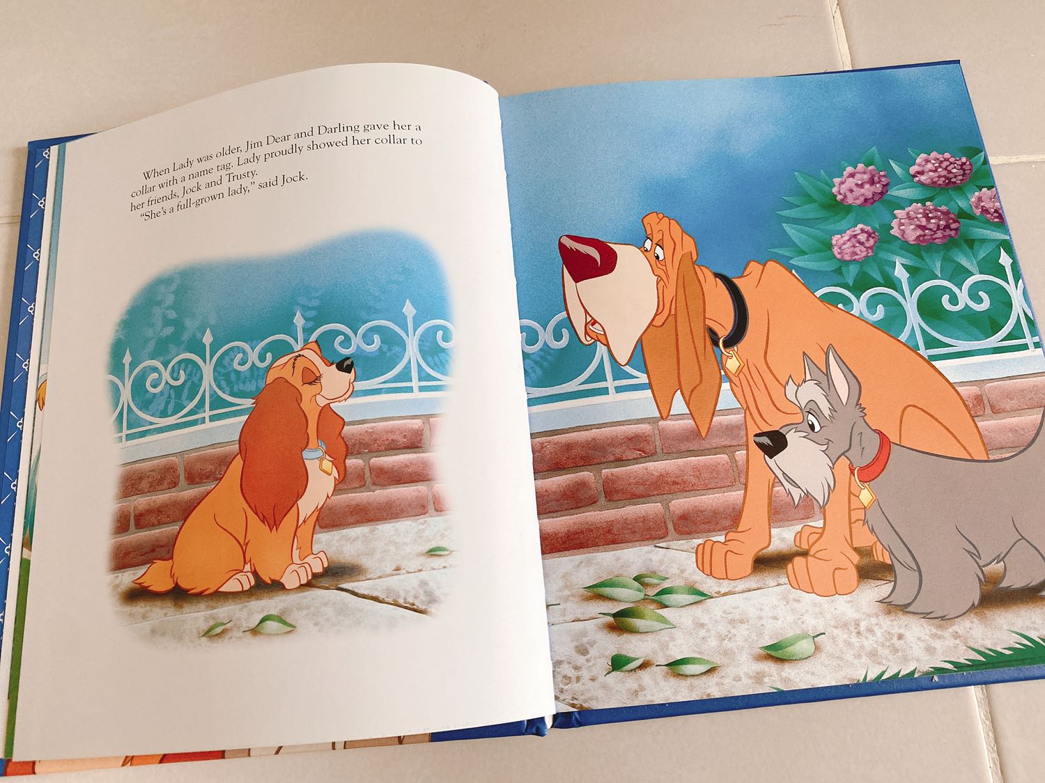 sách nhỏ gọn, bìa cứng, nội dung thì khỏi bàn ròi, từ hồi nhỏ đã rất thích phim hoạt hình này.