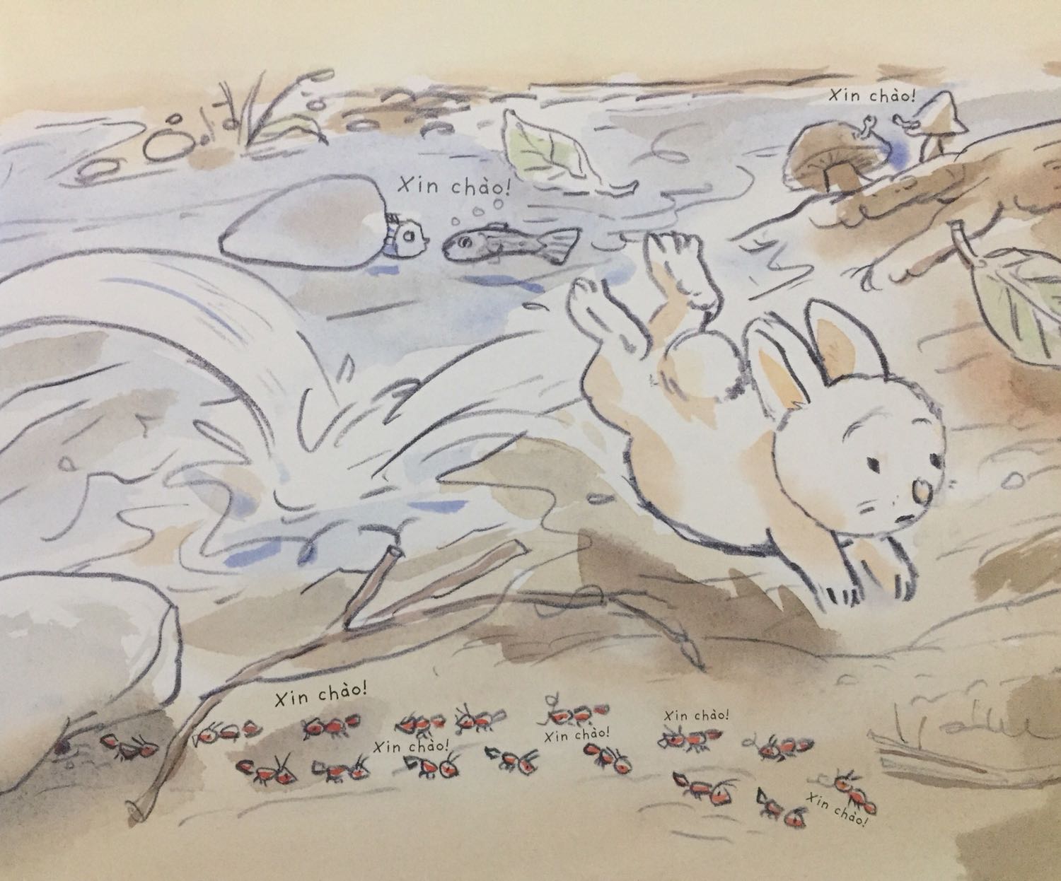 Phù hợp cho các bé tầm 3-4 tuổi nhưng kết truyện nên đổi thành chú Thỏ chào cá bác chứ chuyện hnay để mai mới làm thì mất ý nghĩa bài học.