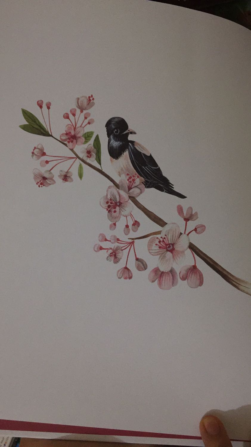 Nhìn mấy hình ảnh mình đính kèm, các bạn có thấy đẹp không? ? cá nhân mình thì rất thích những cuốn sách đẹp như thế này của Huy Hoàng. Cảm ơn nxb v Tiki đã mang tới những cuốn sách đầy nghệ thuật❤️