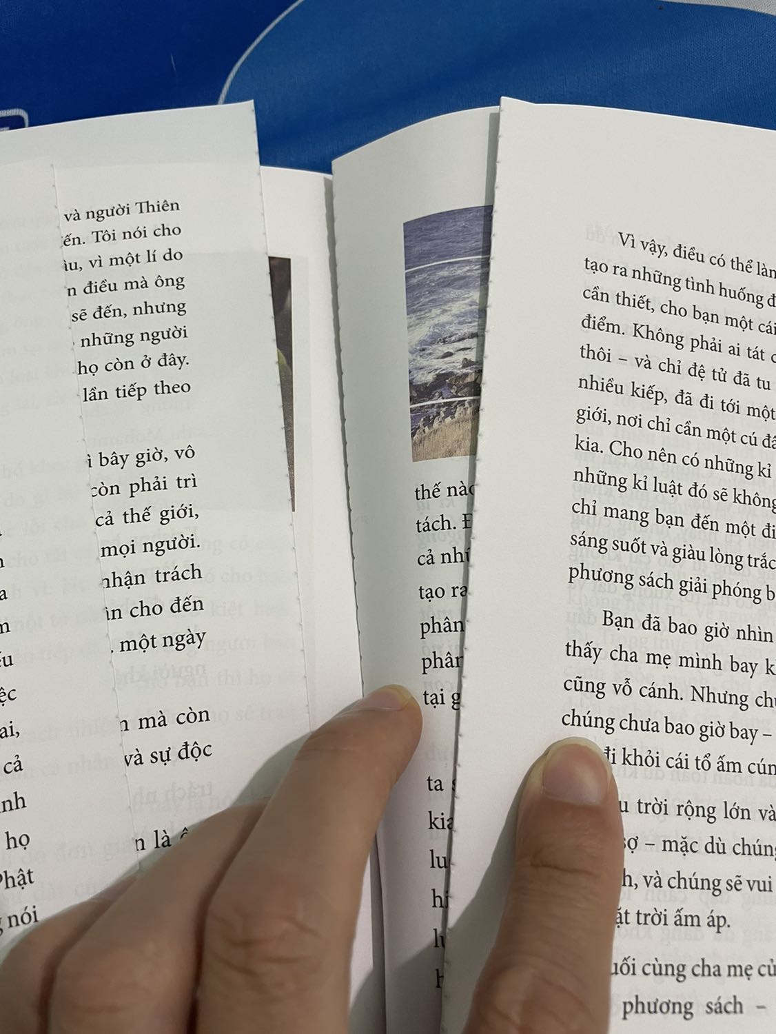 Khi mới mua về chưa đọc cho 5 sao. Giờ bung gáy tùm lum hết. Tôi muốn đổi sách. Hãy giao cho tôi cuốn hẳn hoi, vì không chỉ đọc một lần, tôi muốn đọc nhiều lần
