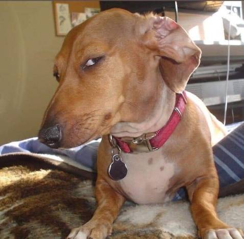 như đầu *** jjkkkkkkkkkkkk