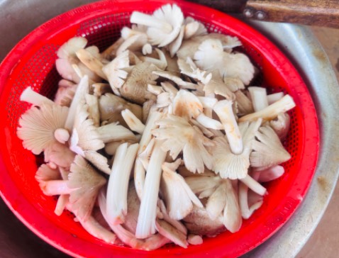 Máy dùng ổn, giá cả hợp lý
Hình ảnh mang tính nhận xu