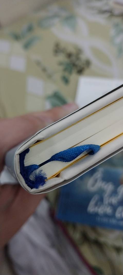 Mình ko ngờ lại giao nhanh đến vậy đặt từ tối thì sáng hôm sau đã nhận được :333, mùi sách thơm lém