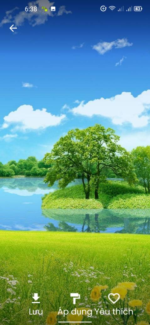 Sp ok, chỉ chê là gỗ còn hơi tươi nên mốc, lại mất công phơi nắng, nhưng kg sao,mách mn phơi xong phun chút rượu vào kg bị mốc nữa, vẫn tặng xốp 5 sao