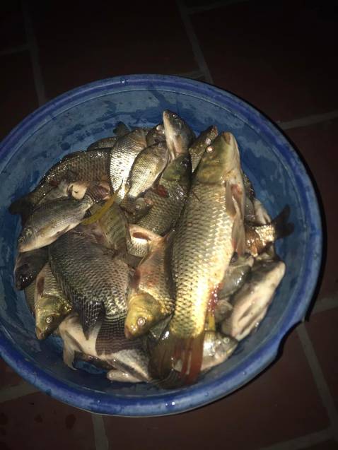 Đã nhận được hàng ngọn cần vào shop cần *** trc khi giao ạ!:((