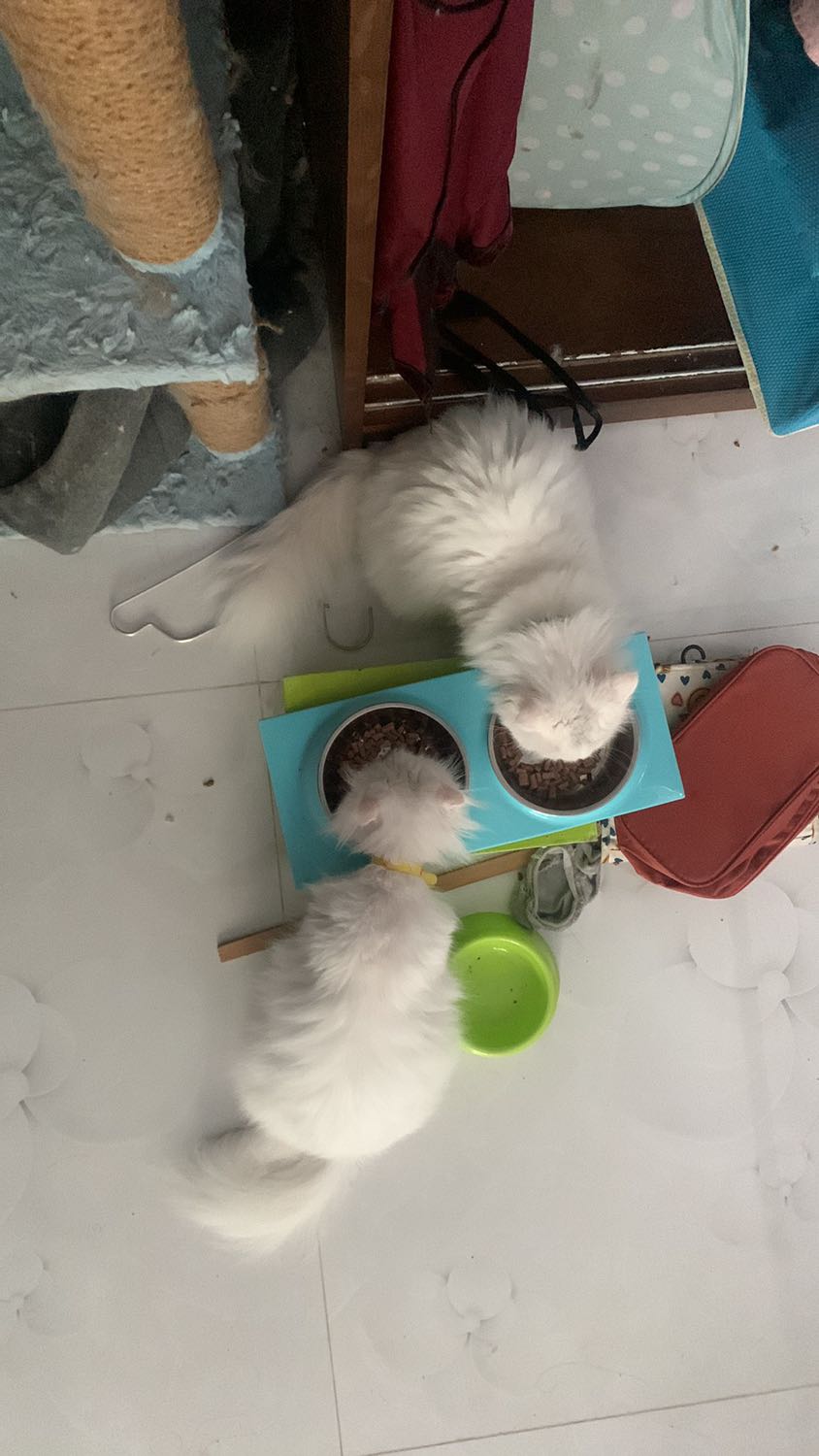 Giao hàng nhanh, đóng gói sản phẩm cẩn thận, chất lượng sản phẩm như hình