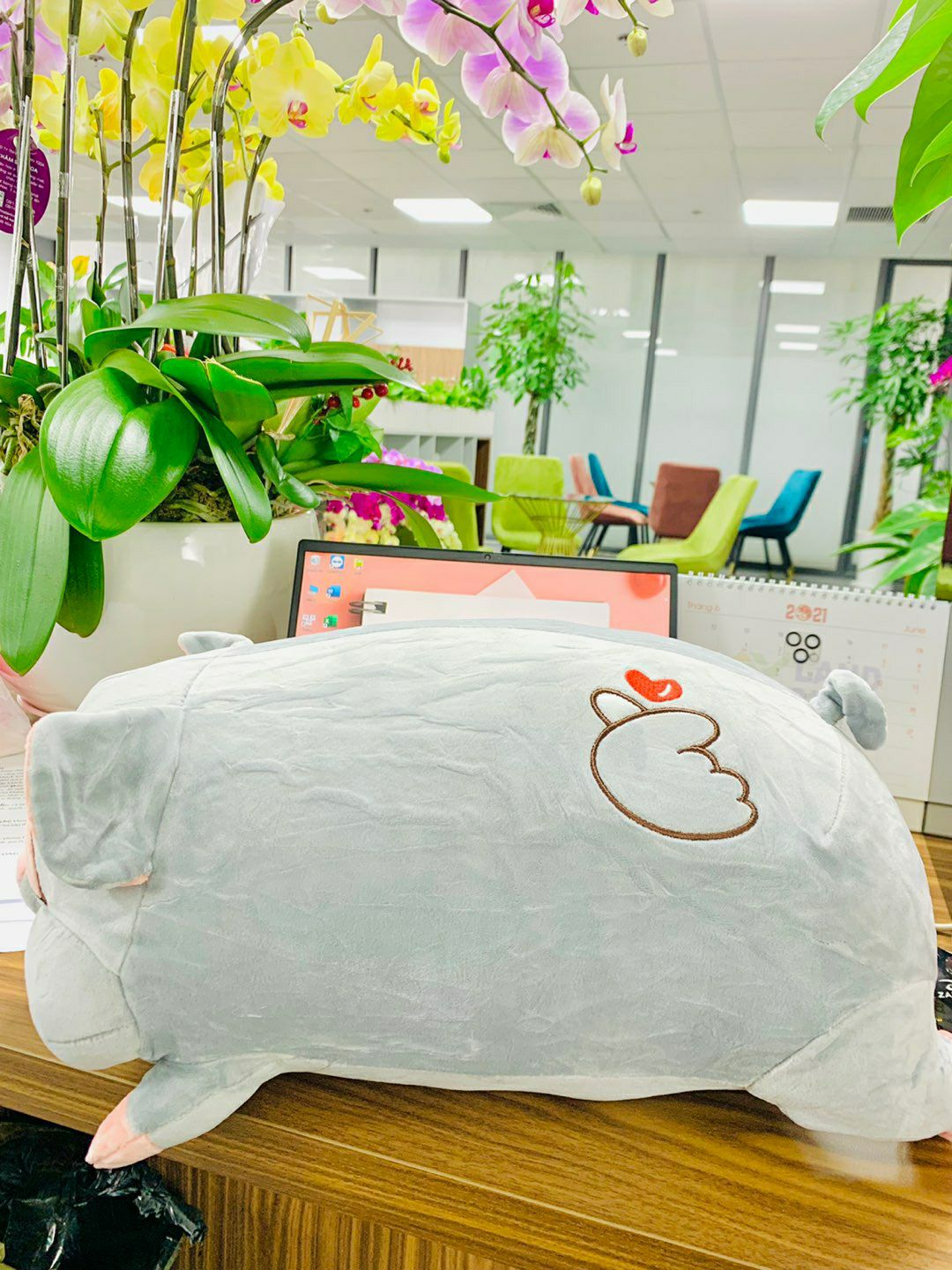 Giao hàng khá nhanh dù tình hình đang dịch, gấu mềm, dễ thương, , hơn 100 cành thôi mà khá ok, lần sau sẽ ủng hộ tiếp! 👍👍