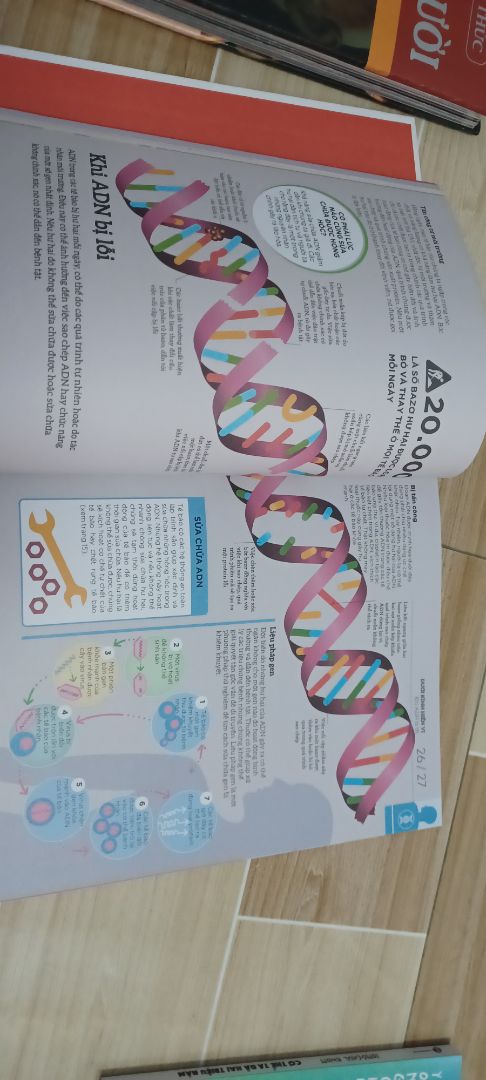 Sách rất chất lượng luôn ạ, sách có nhiều hình vẽ đầy màu sắc cũng như lượng thông tin rất bổ ích và dễ tiếp cận, bên cạnh đó còn có những hình vẽ minh họa rất chi tiết. Sách này rất đáng tiền để mua và tìm hiểu.