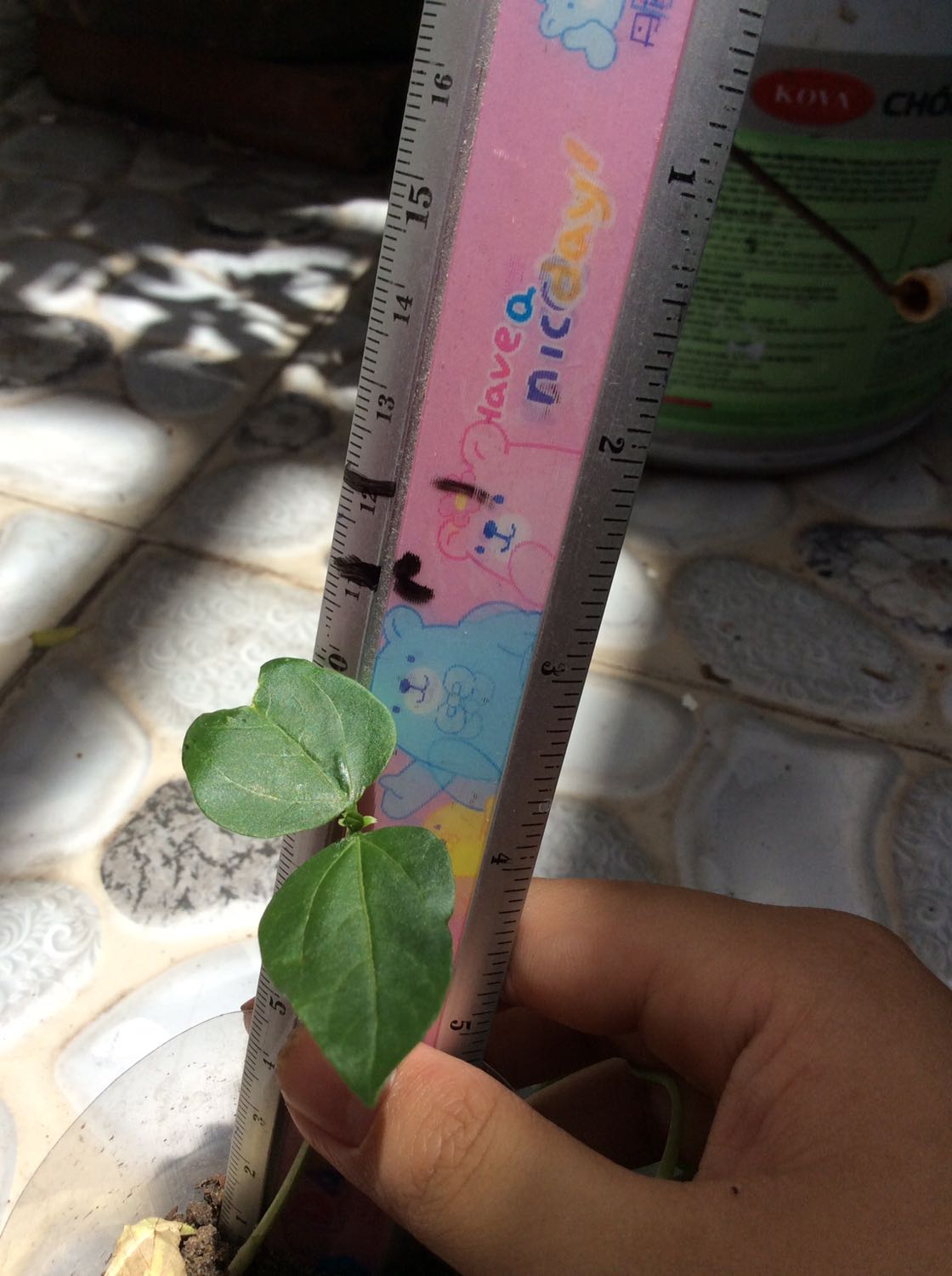 Bìa đẹp nhưng bị móp tưởng truyện tranh nhưng lại là truyện chữ