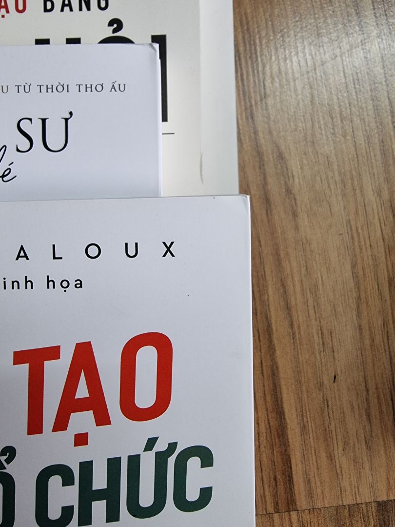 Nội dung mình chưa đọc, nhưng vừa mở gói hàng ra là thất vọng :(
Tiki có đơn giao đóng gói cẩn thận, bọc sách từng cuốn, thêm miếng đệm rất tốt.
Cũng có đơn rất cẩu thả, bỏ đại mấy cuốn sách vào rồi sóng thùng, sách thì như sách trưng bày, bìa trắng mà bụi đóng đen thui, mình phải lau sạch mới trưng lên kệ. 5 quyển thì bị móp 1-2 quyển.
Nhưng đợt này mình mua hơi nhiều nên số sách bị hư góc cũng tăng theo. 
Tiki đổi giúp mình, cảm ơn ạ!