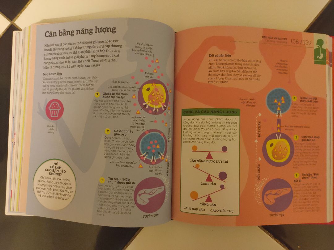 sách đẹp, bìa cứng, rất chắc chắn.  Hình minh họa đẹp, nội dung hữu ích, đặc biệt phù hợp với độc giả yêu thích môn Sinh học.
Tiki giao hàng nhanh, giá lại rẻ hơn mua ở các tiệm sách hay shop online khác.