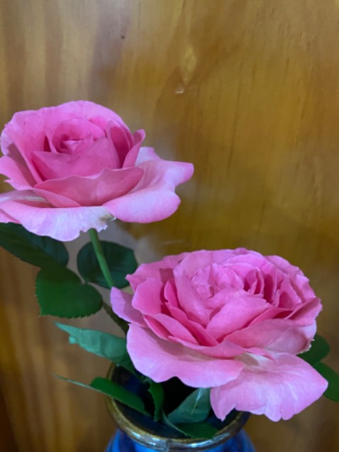 Rất tuyệt vời. Hương thơm xa và lâu.Mùi dễ chịu. Tiki giao hàng nhanh. Ok sẽ mua lại nếu giá tốt hơn nữa 🌹🌹🌹🌹🌹