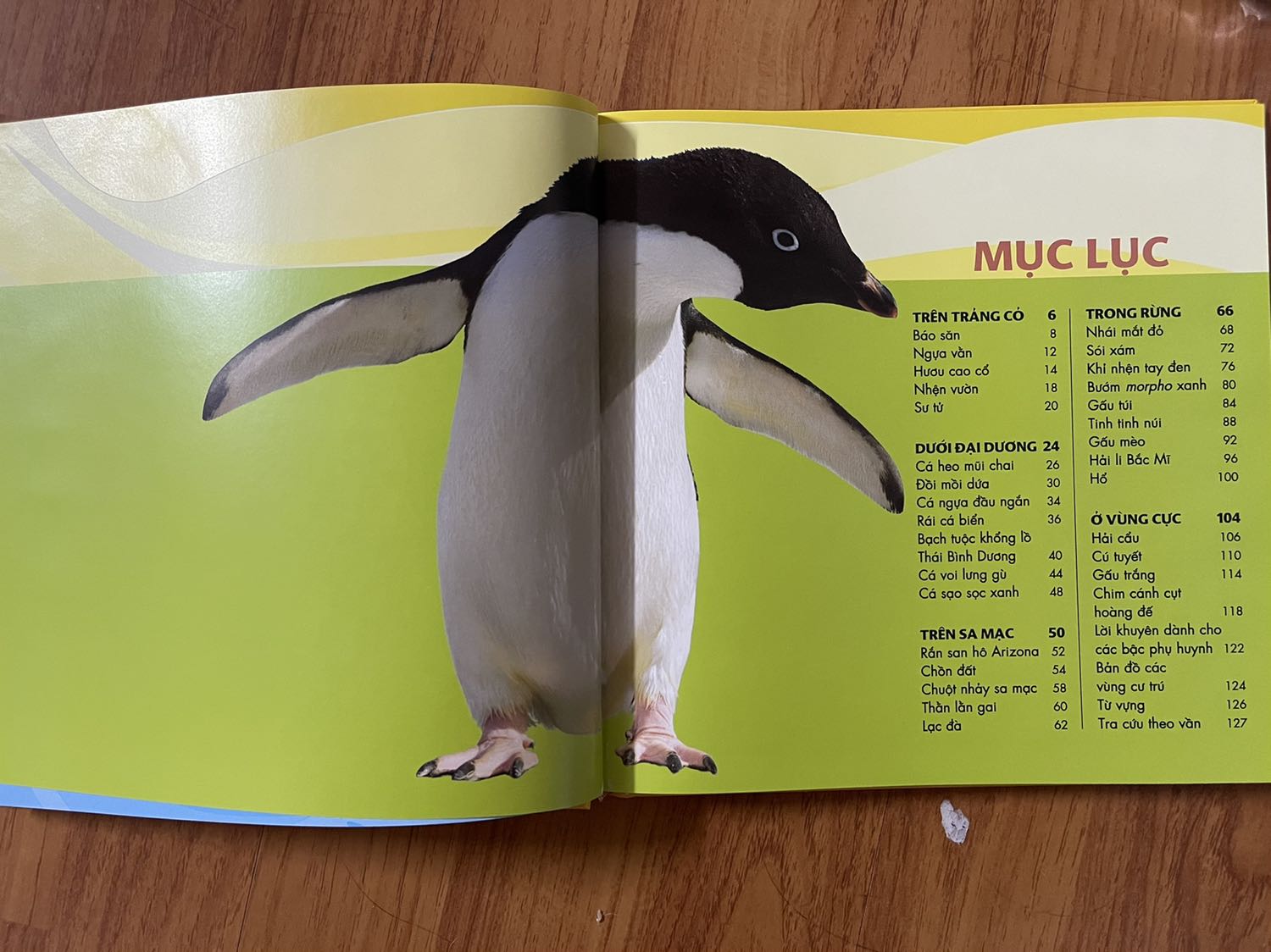 Sách đẹp, nội dung hay.