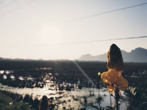 Giao hàng nhanh mọi người lén mua nha hic